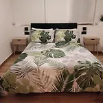 El Pisito Ontinyent